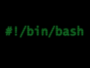 bash